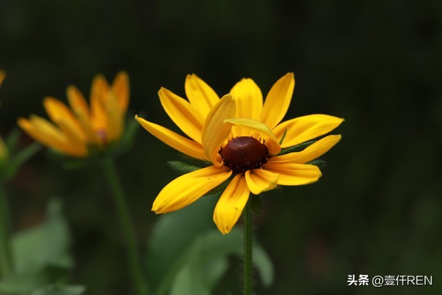 如何让手机原相机拍照更好看,怎么用普通手机相机拍照才好看