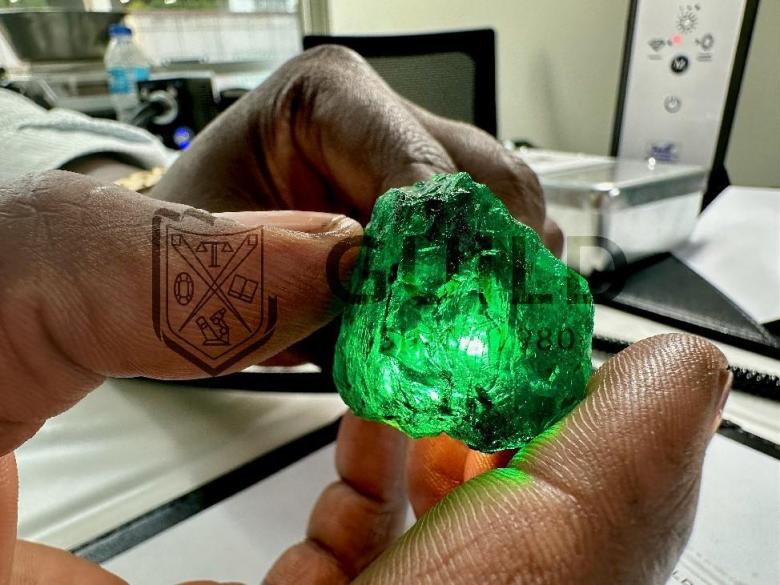 最新拍卖结果出炉，GUILD带你直击Gemfields曼谷原石拍卖会