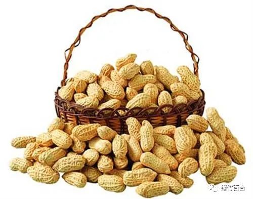 落花生课文,落花生的女儿