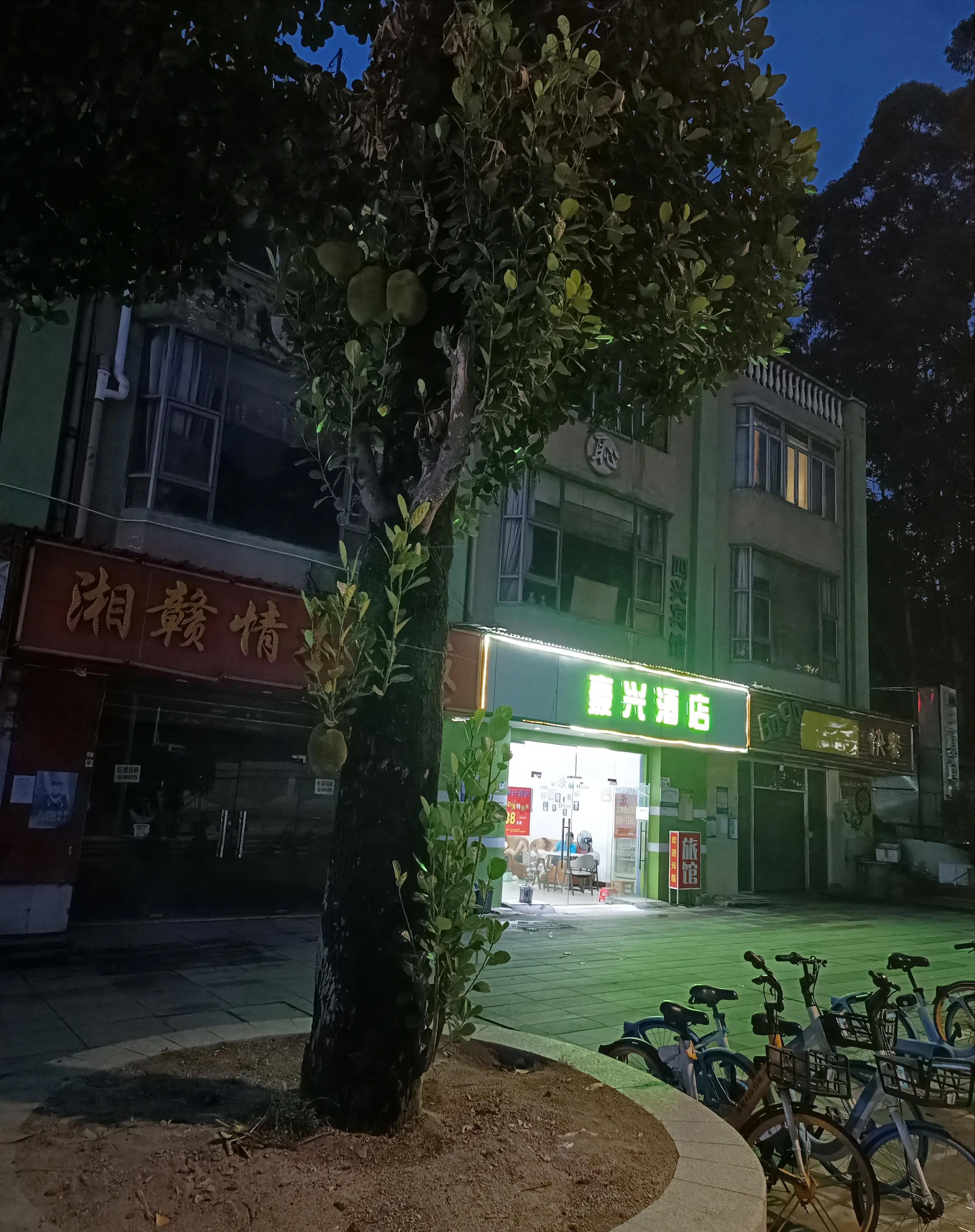 新安厂解散之后，我们周边的餐饮、休闲娱乐和百货店纷...