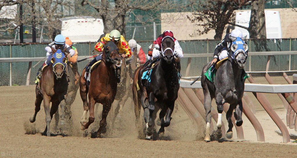你不知道的国家冷知识牙买加,你不知道的冷知识牙买加