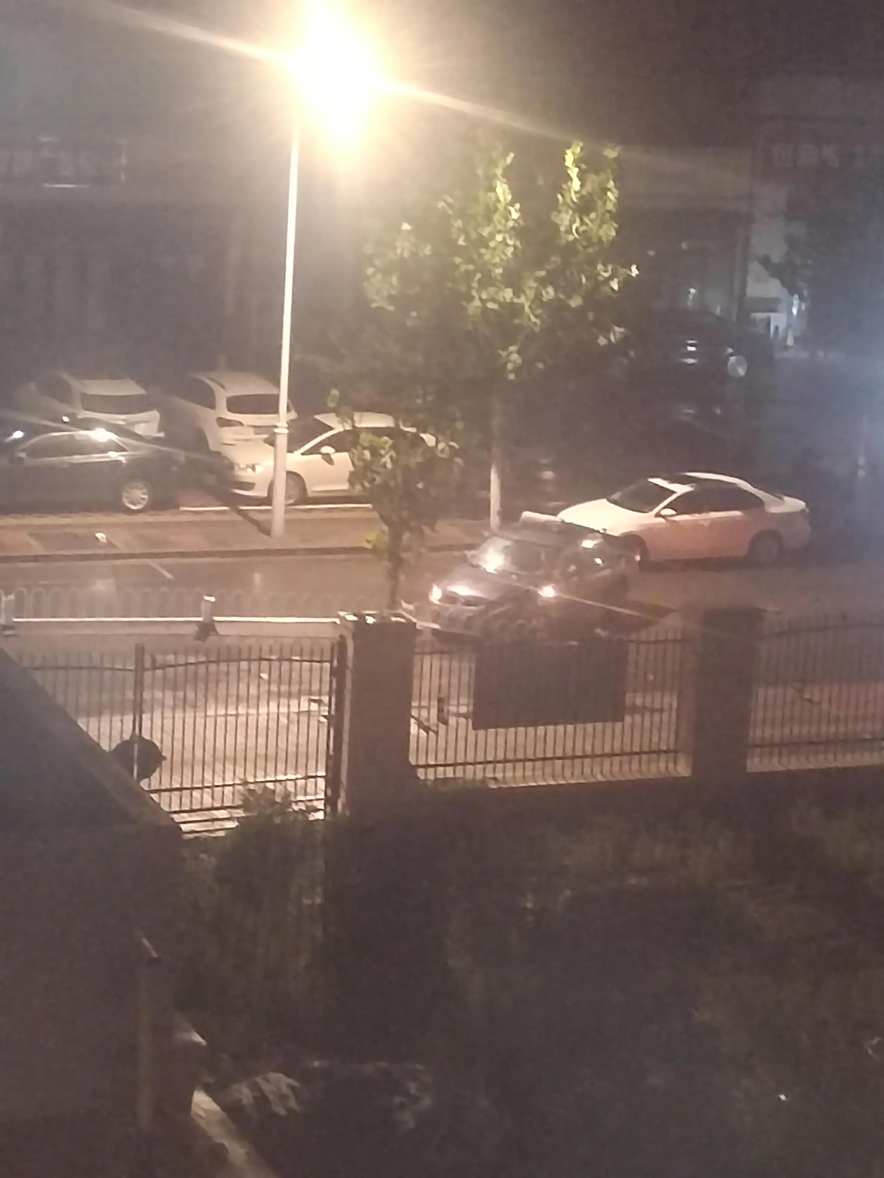 风雪夜归人创作的原声,风雪夜归人作品