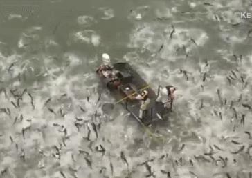 婢虫床椴ら奔娉涙互鎴愮伨瑙嗛,涓夋潯澶ч奔鍫典綇娌抽亾