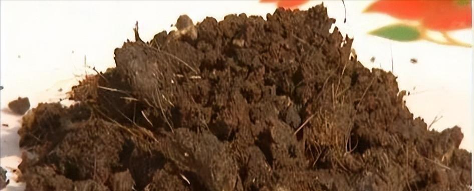 菲拉格慕男士蓝色香水好不好,菲拉格慕蓝色经典男性淡香水