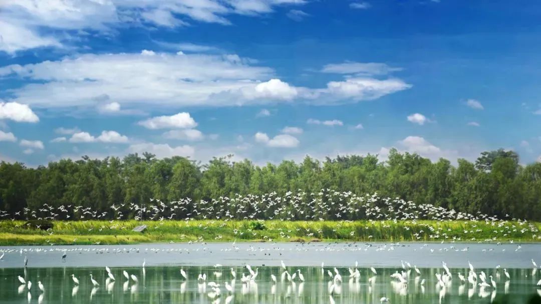 广州户外运动哪里集中,广州户外运动路线