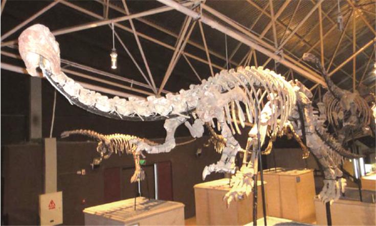 二等座最低264元，昆明⇌成都只需7小时！新成昆铁路12月26日全线贯通运营