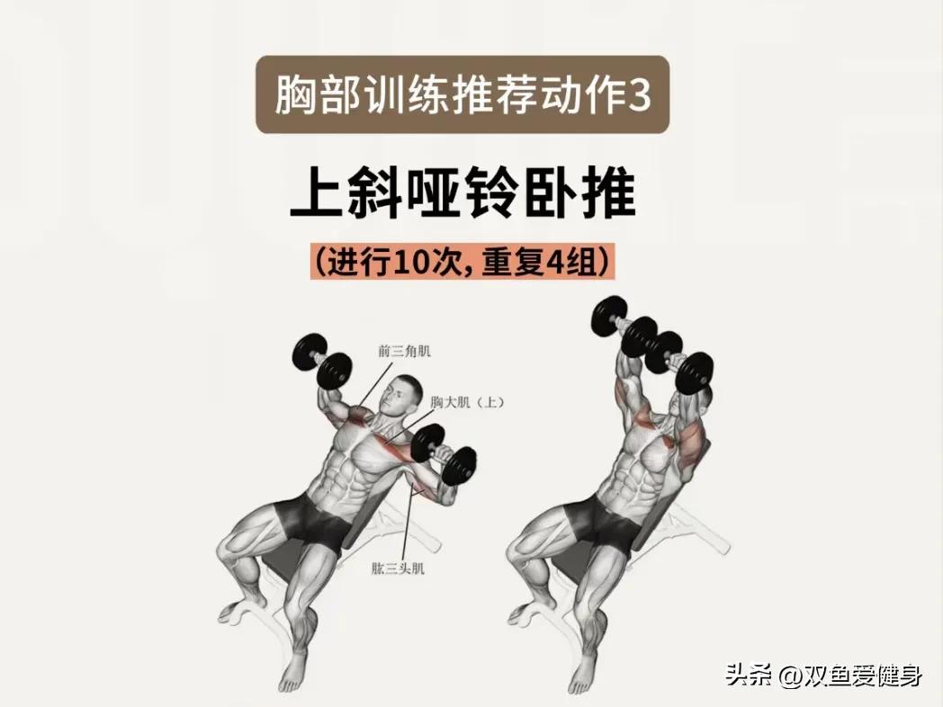 女生的胸可以练出来吗,女生哑铃练胸需要每天练吗