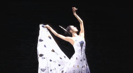 杨丽萍孔雀舞备受争议,杨丽萍舞蹈争议