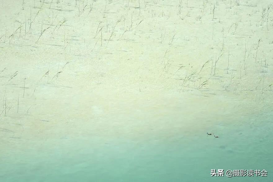 2018年度最佳摄影照片,创造出令人惊叹的自然摄影照片