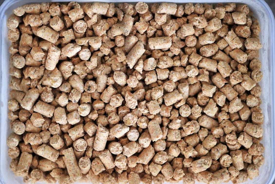 油价猪价粮价涨跌最新消息,油价调整豆粕玉米价格