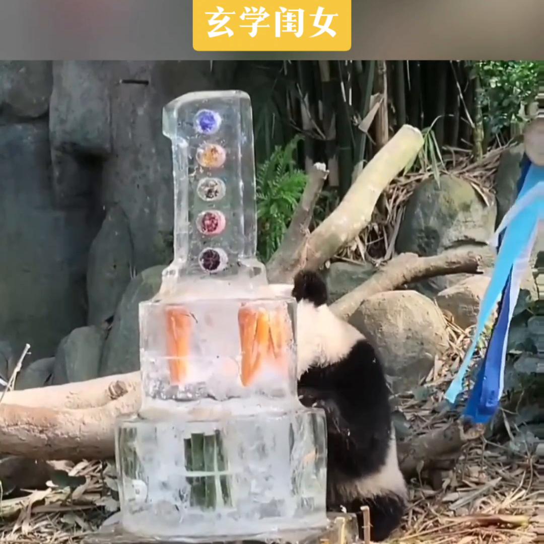 小说推文深入交流,草莓尖尖小说推文