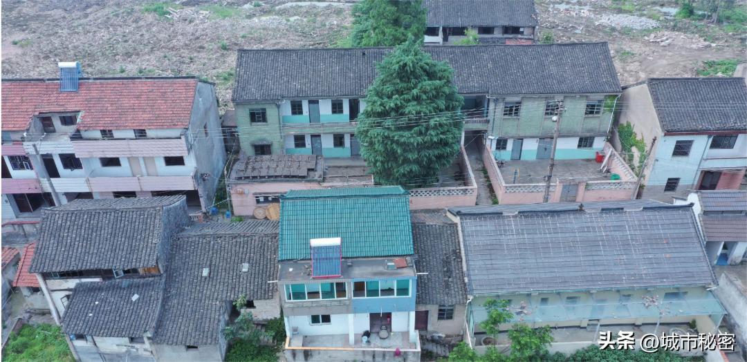 什么是城市有机更新改造,什么是城市有机更新