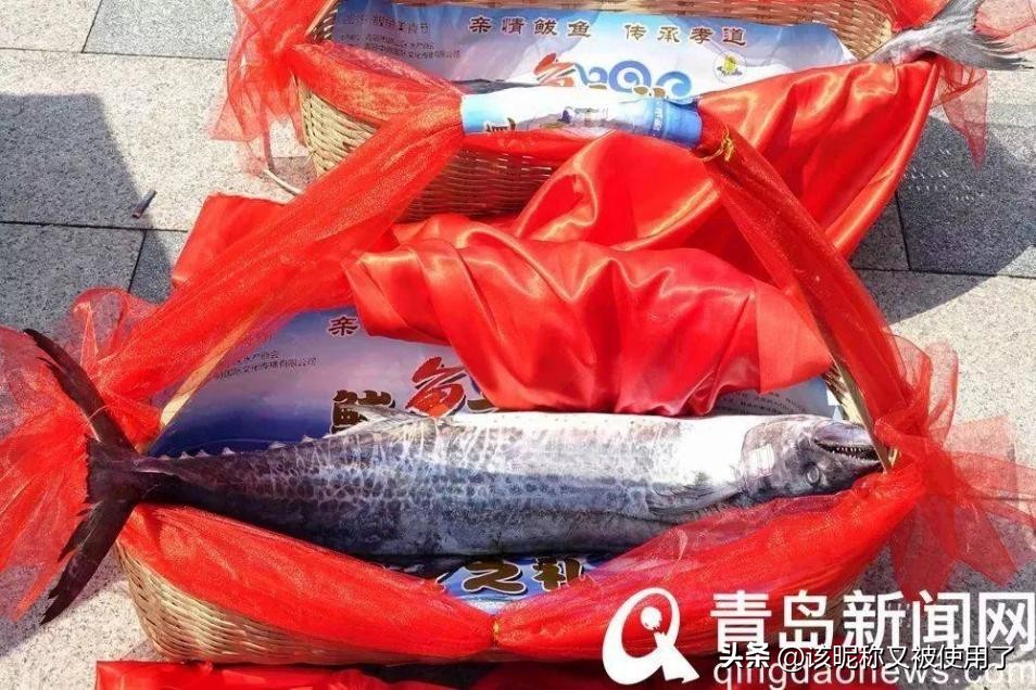 【天福山起义】山东之地理：11.“鲁”字里的鱼是河鱼还是湖鱼？