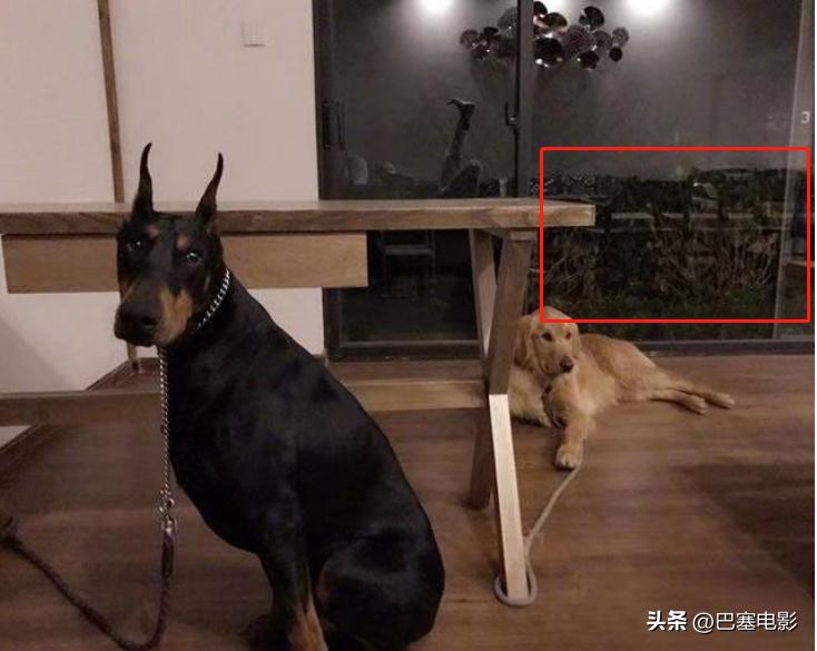 47岁乐嘉在美国被偶遇，高端水成箱买，细看资产，才知什么叫精明