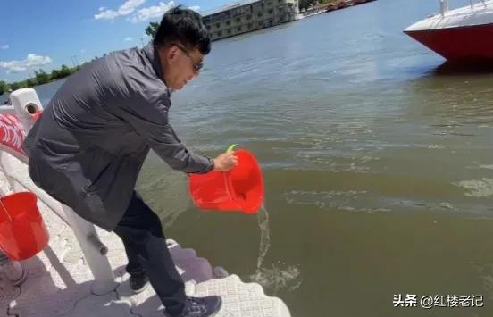 鲟科鱼类联合增殖放流,鲟鳇鱼苗放流