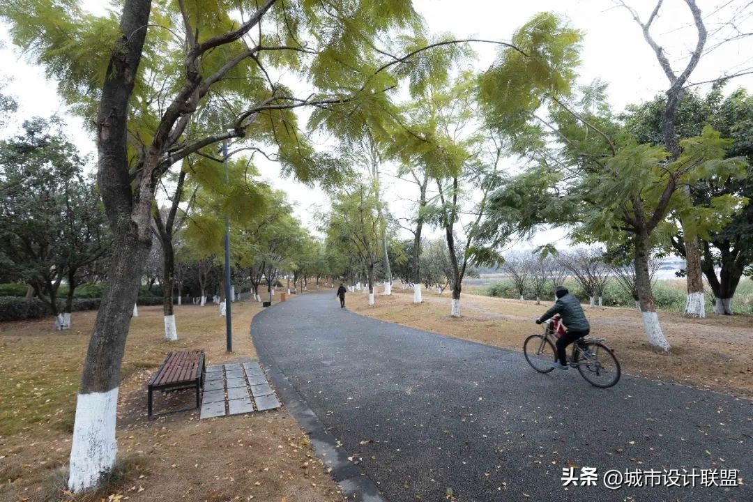 成都值得一游的公园,夏季成都宝藏公园