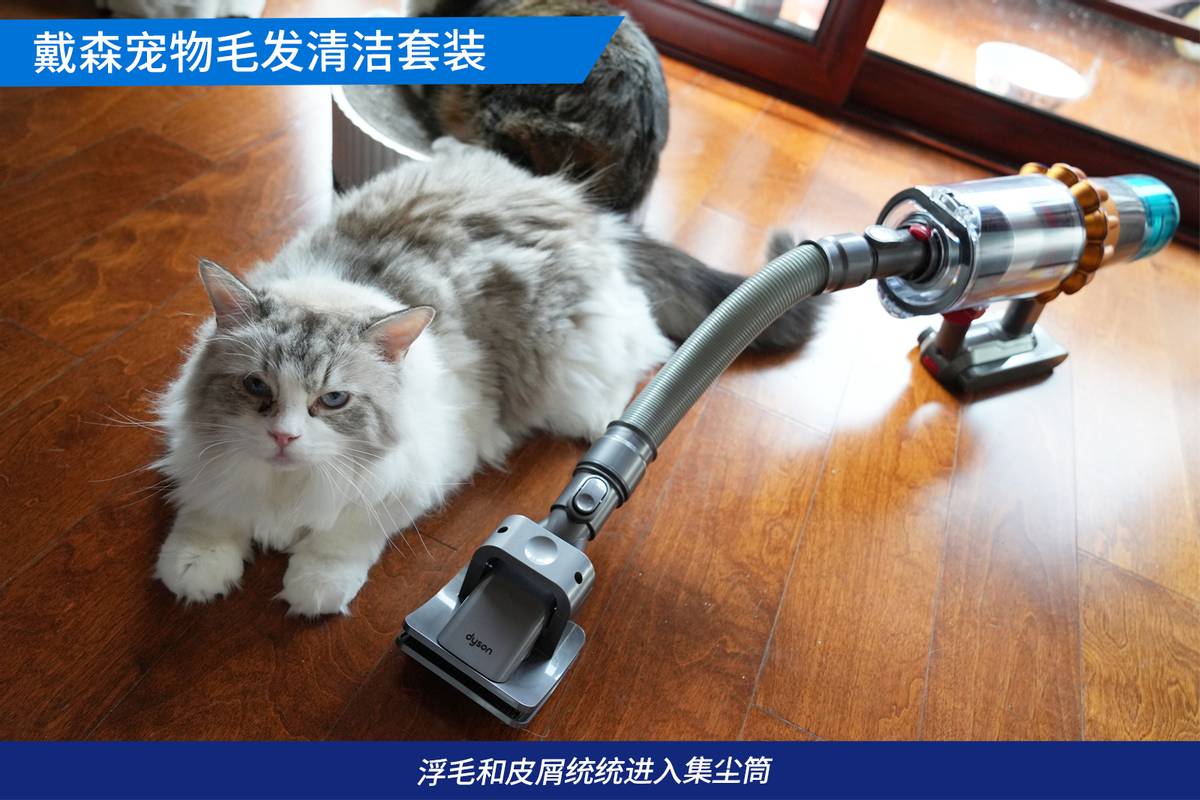 戴森吸猫毛神器,戴森宠物毛发清洁套装
