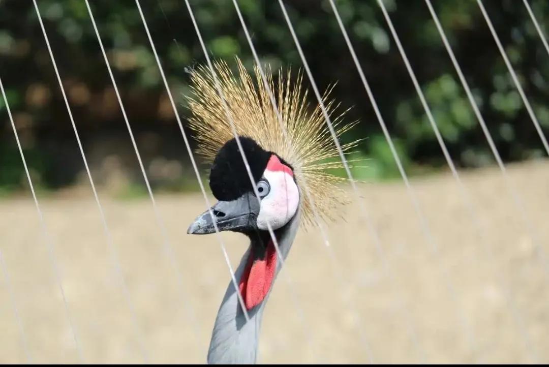 长春到大连海岛四日游价格,长春到大连六日游