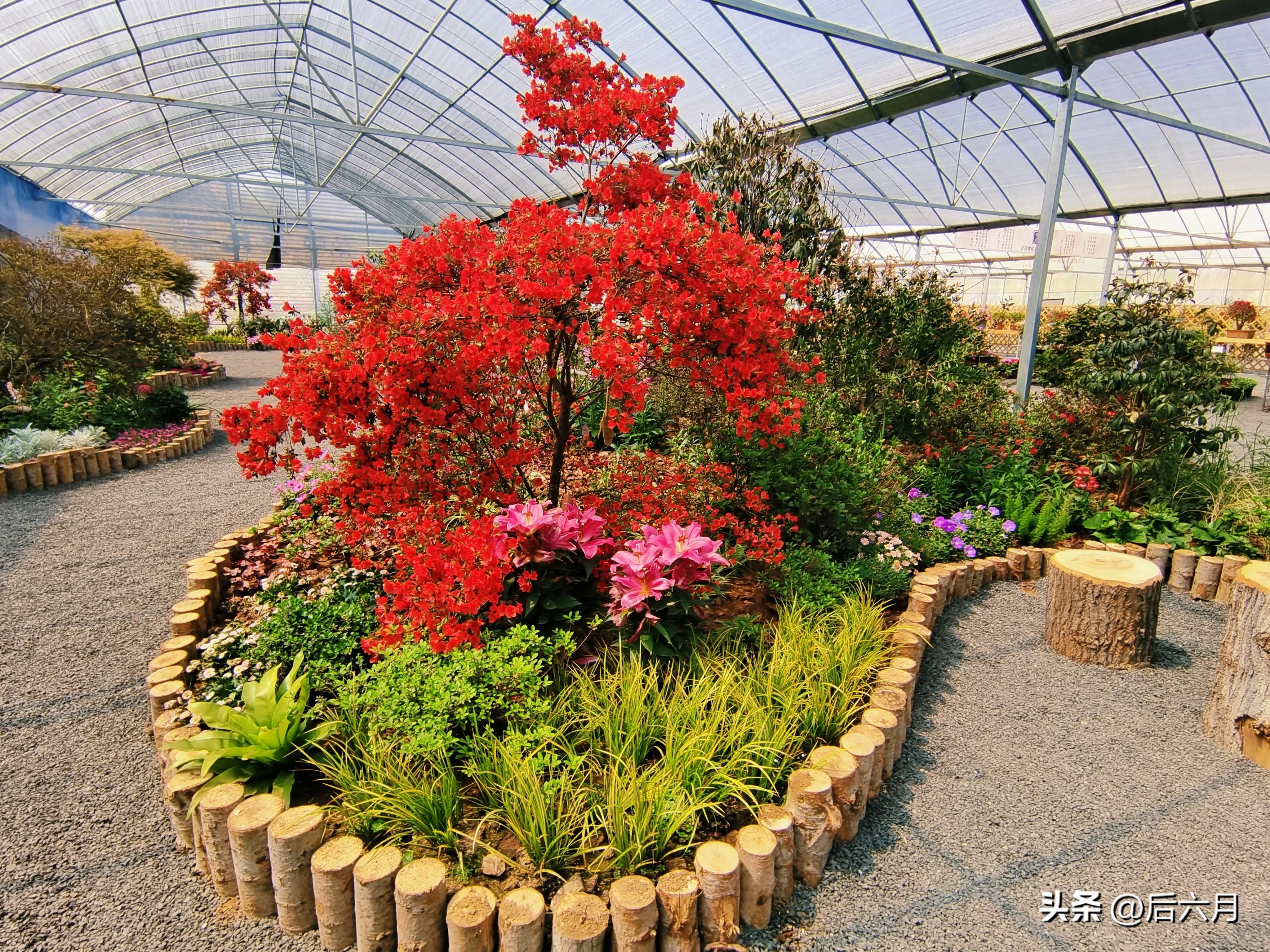 途游西海岸l无比方花园，杨家山里新添网红打卡地