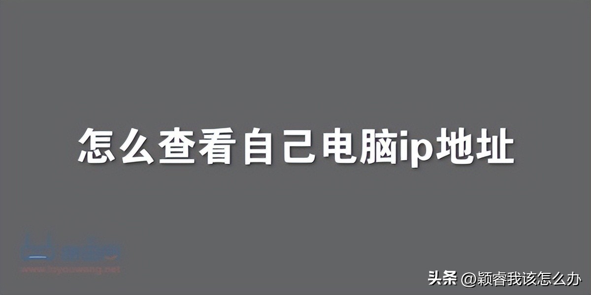 如何查看电脑ip地址和服务端口,如何快速查看自己的电脑ip地址