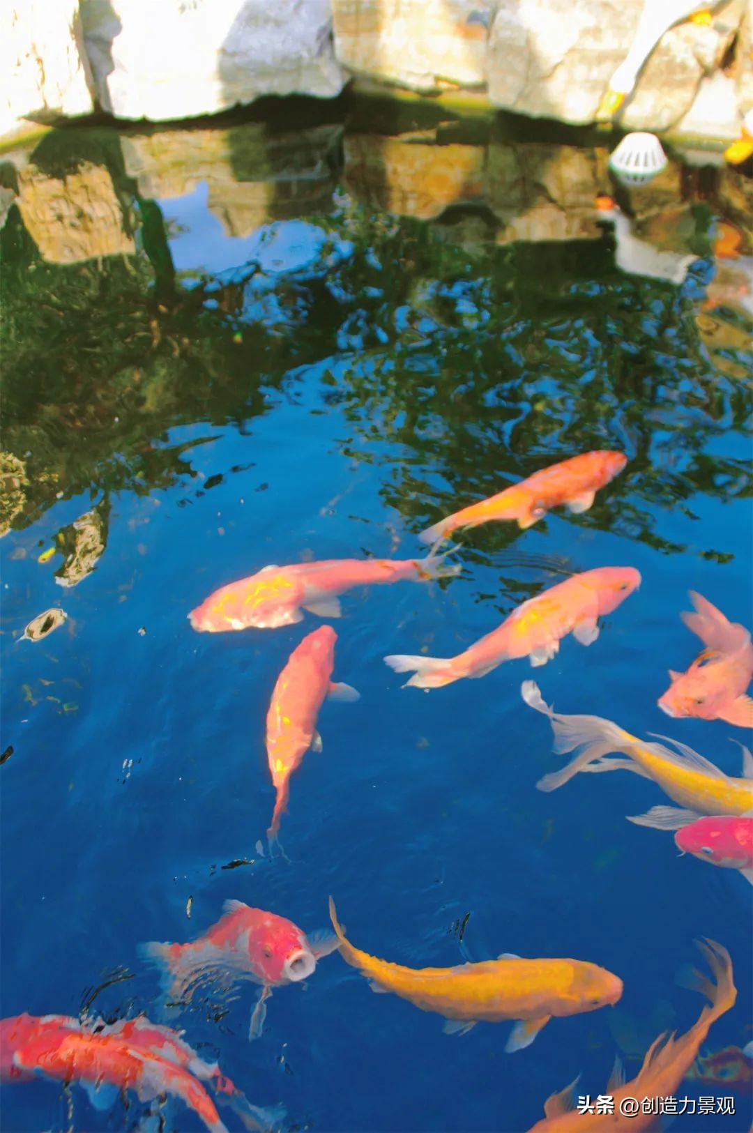 庭院鱼池怎么设计,庭院设计鱼池的最佳方法