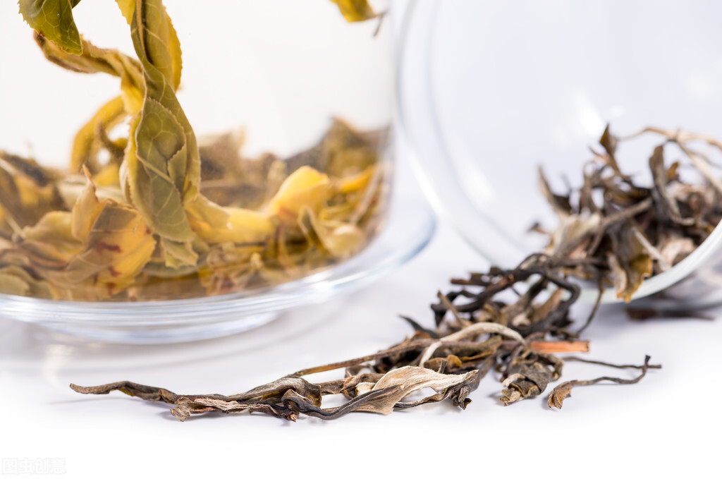 月光白云南白茶,云南月光白茶价格