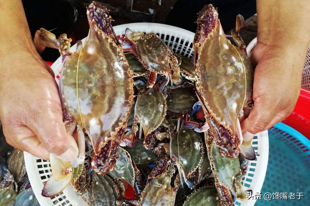 挑选螃蟹的秘籍大家学起来,买螃蟹的时候怎么挑肉和蟹黄多的