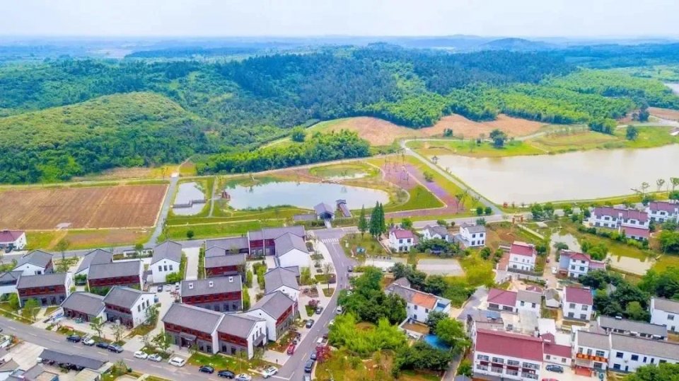 仙姑村咸货,茅山各种咸货