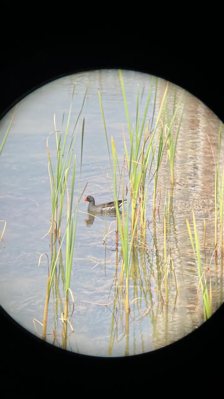 圣途6X24望远镜,圣途望远镜750