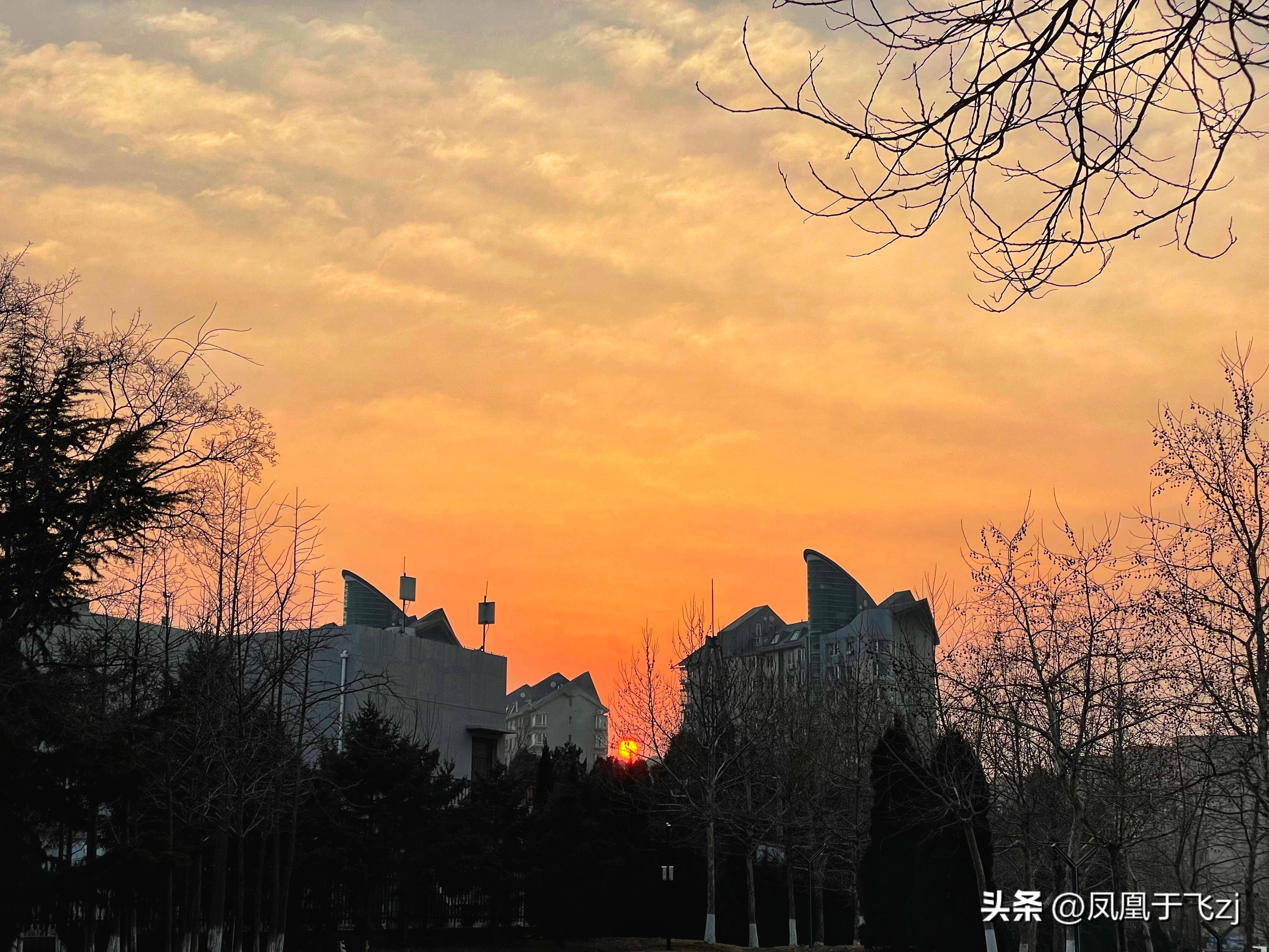 倒时差导致失眠了怎么办,倒时差和失眠