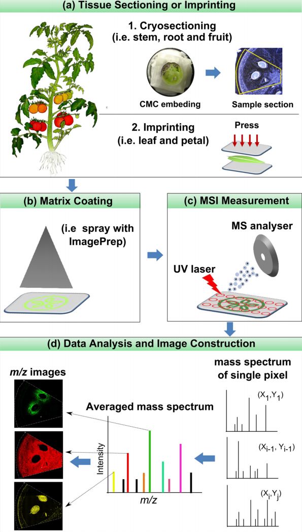 怎么看质谱图解,质谱科普时刻