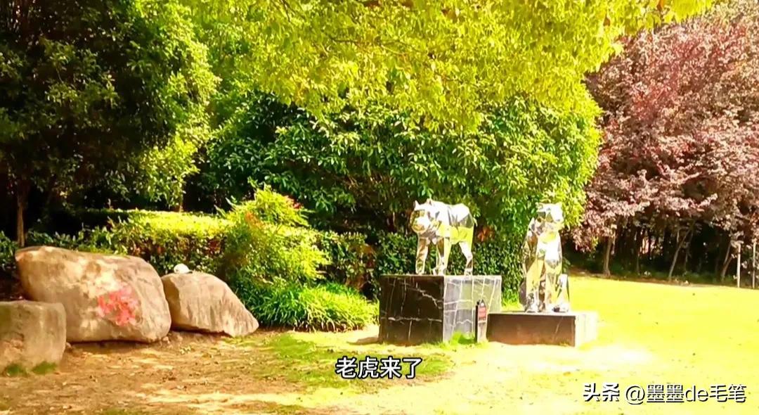 上海南京路网红打卡景点,上海景点网红街免费打卡圣地