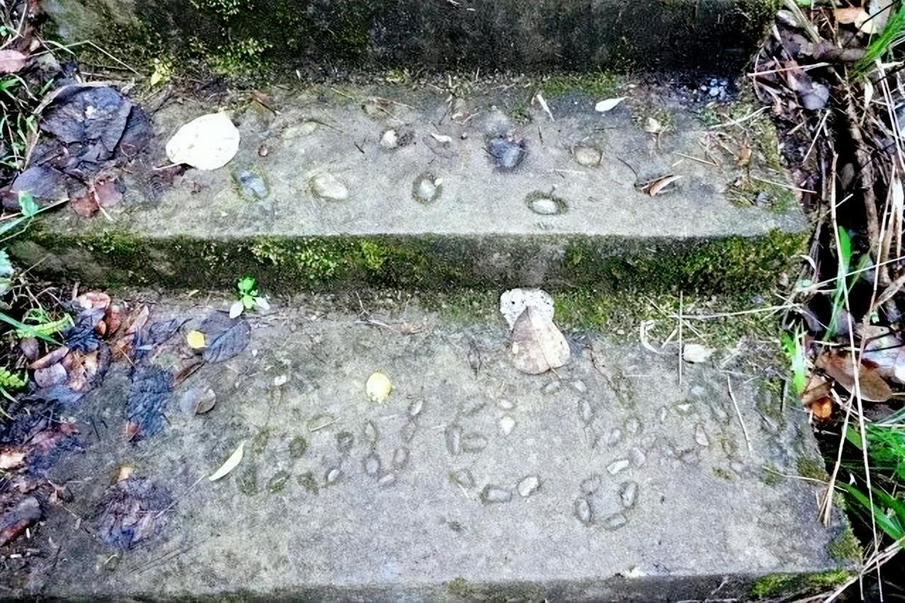 走进桂林阳朔山水,走进桂林深处