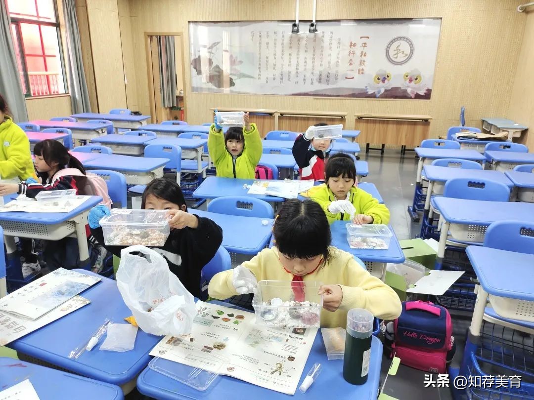 探寻桑蚕文化感受桑蚕之美,走进蚕桑研究所探寻蚕桑文化