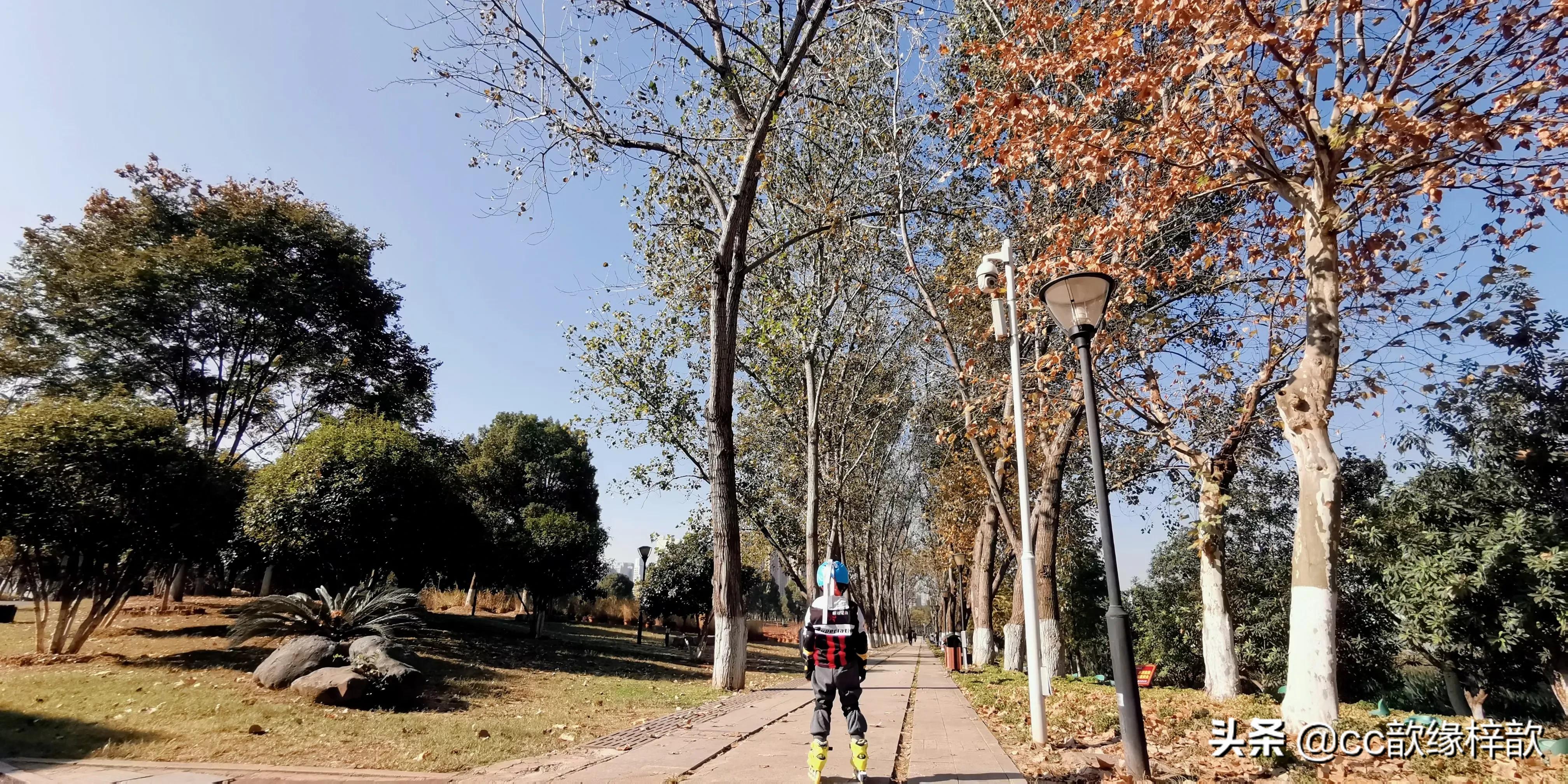 轮滑后滑初学,轮滑班初学