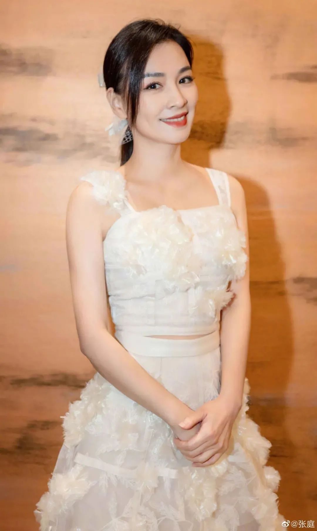 张庭冻结6亿,张庭夫妇被冻结6亿