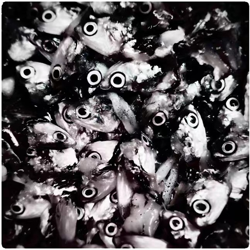 桃花源第三届桃花艺术节,桃花源艺术展