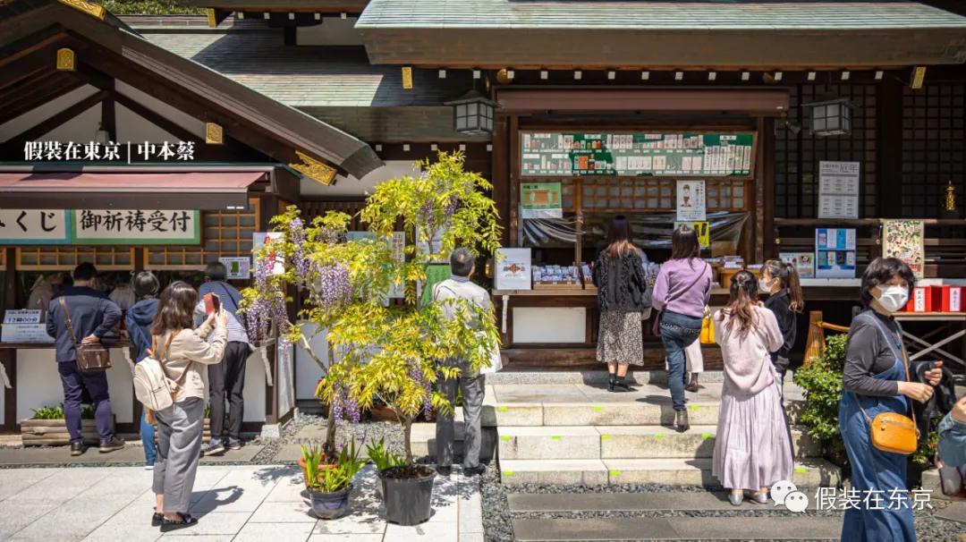 365张照片回顾,365张相片