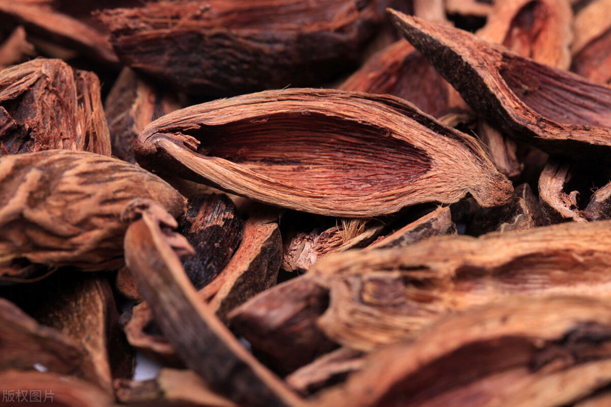 千亿槟榔的危害,槟榔毁了你的前途