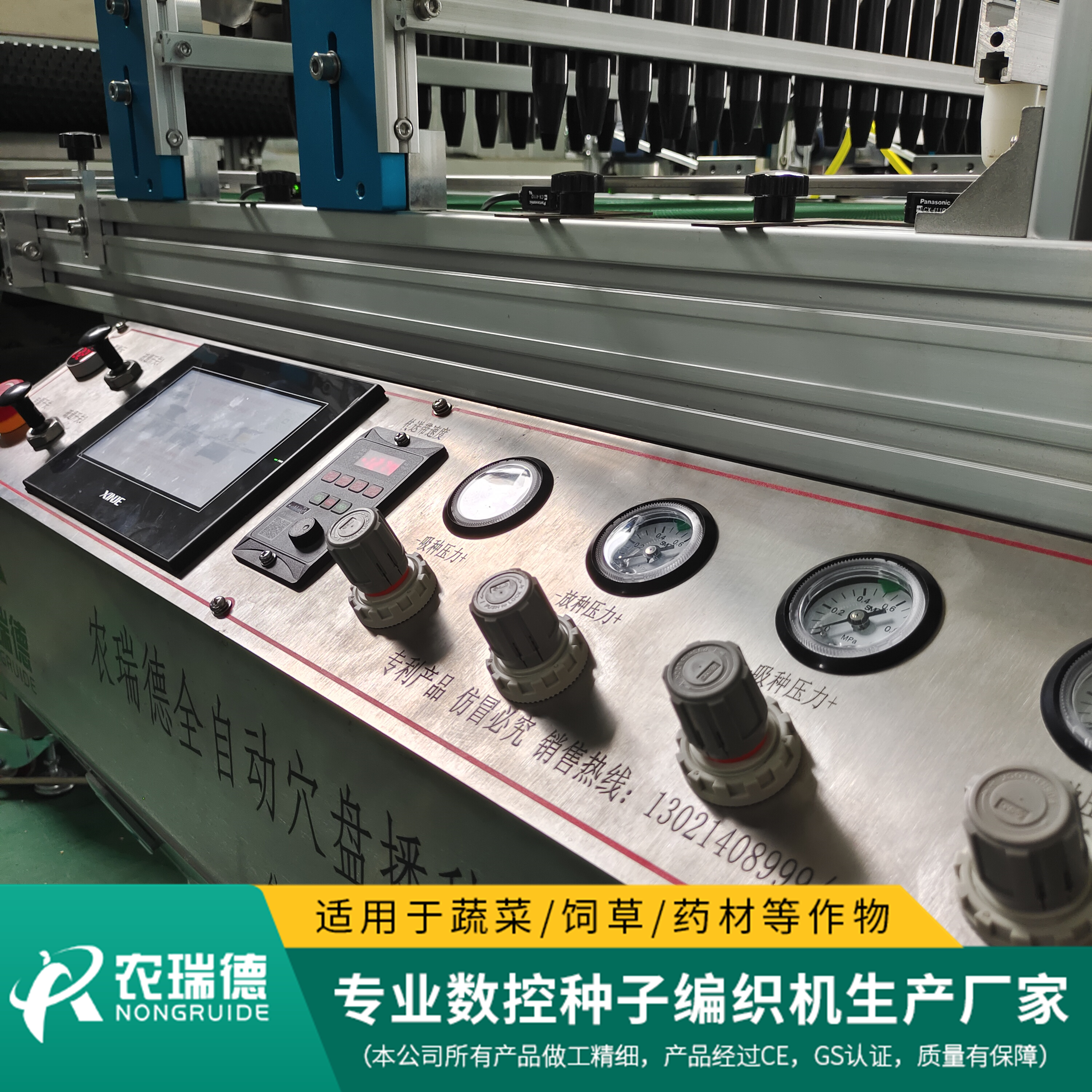 甘蓝工厂化穴盘育苗技术,早春甘蓝大棚穴盘育苗技术