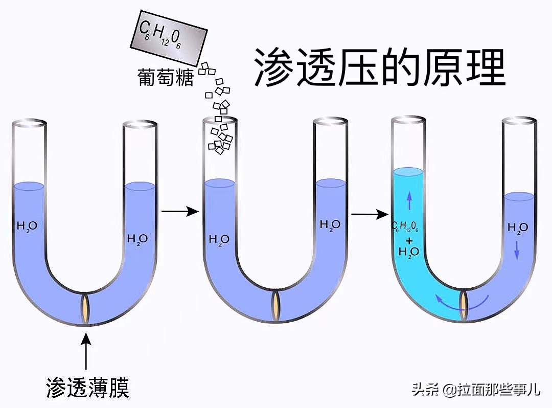 炖肉先加盐还是后加盐,炖肉先加盐怎么补救