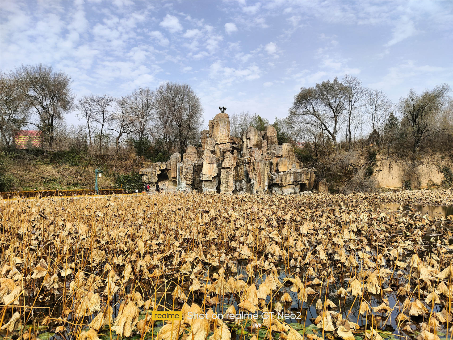 莫里尼x-cape650价格,莫里尼x-cape650座高