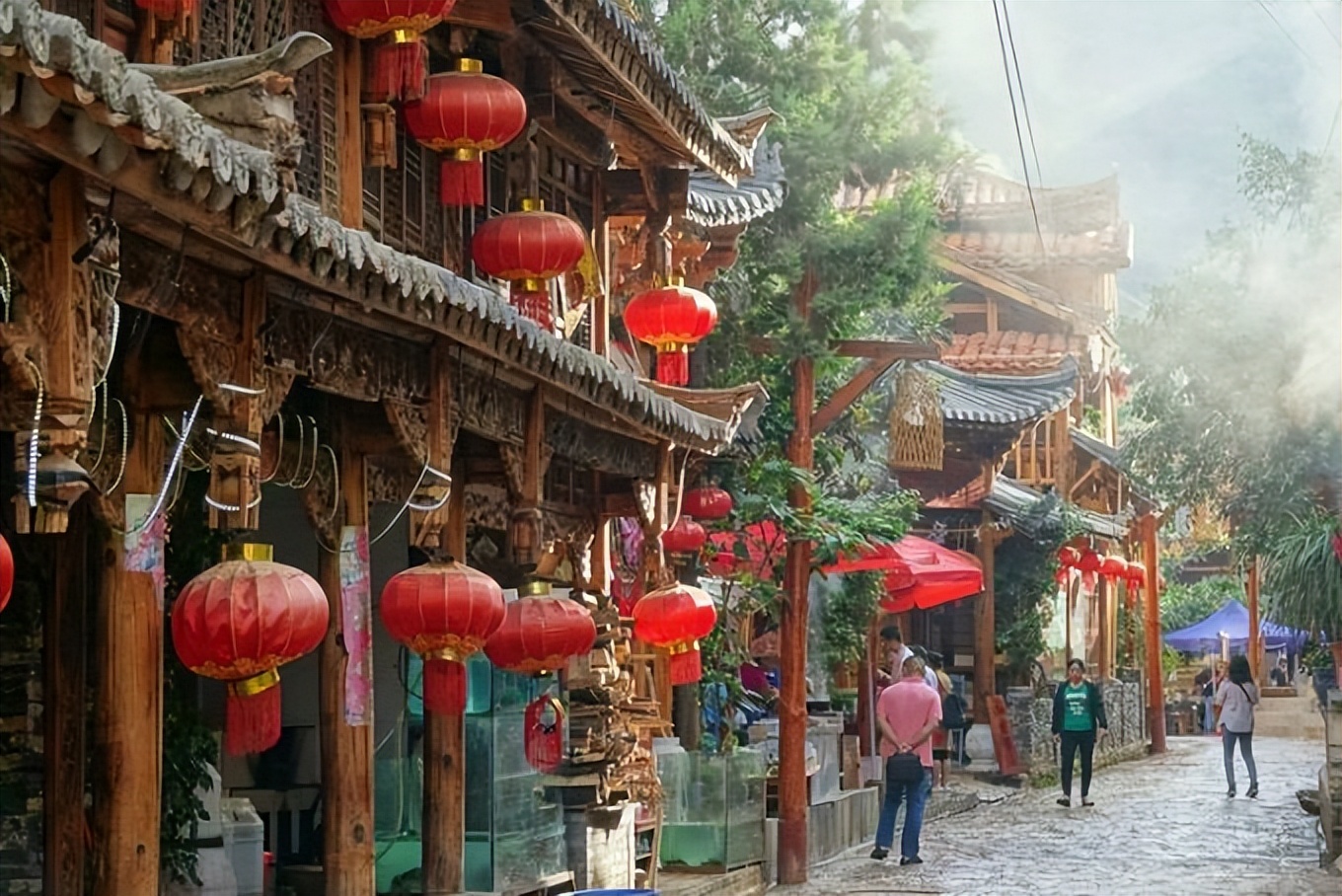 普者黑省旅游景点全攻略,普者黑风景区一天游玩攻略