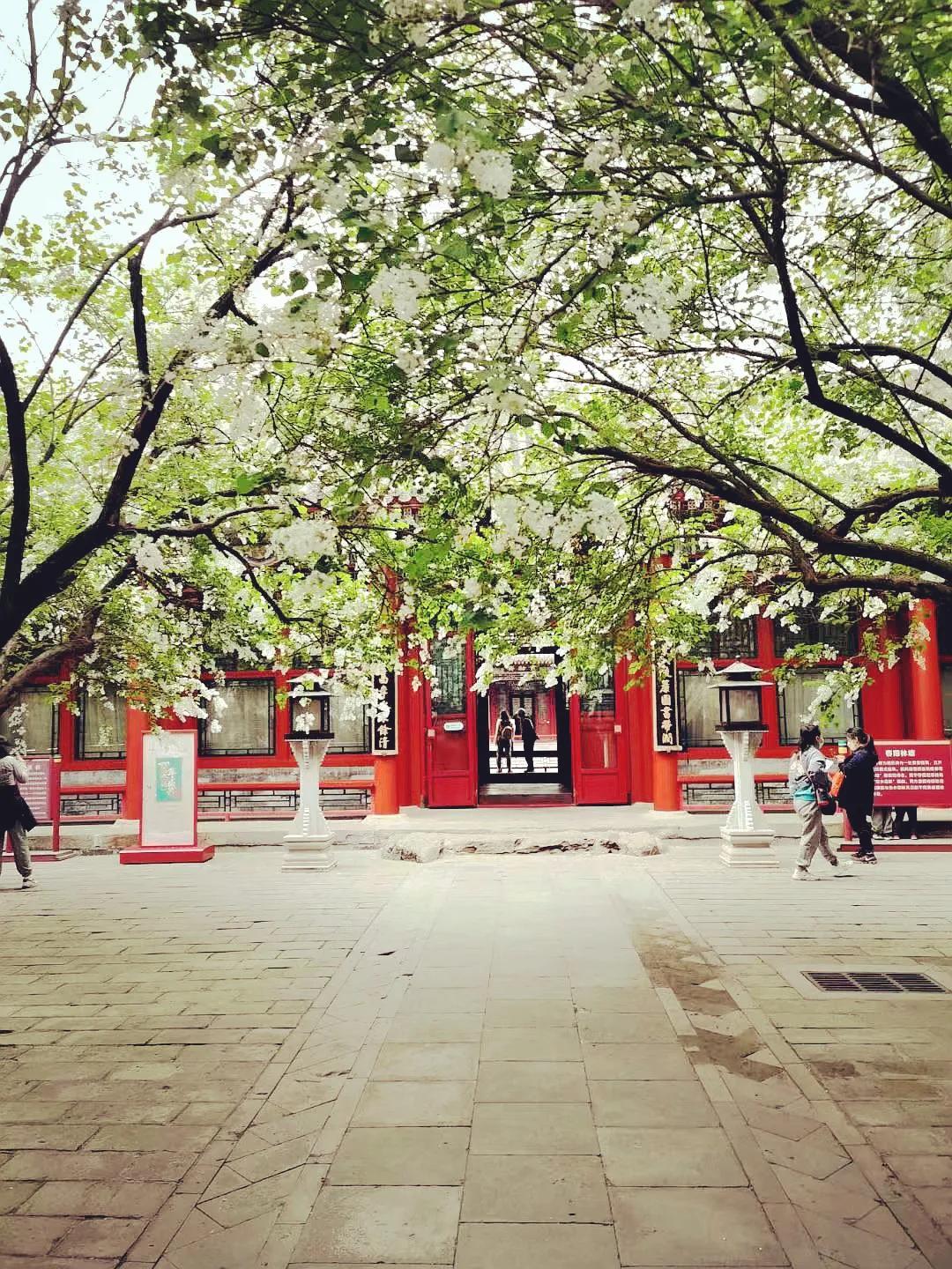 北京人私藏的皇家御苑，“让我们荡起双桨”的地方