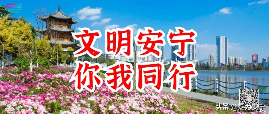 绿茵场上的那个追风少年,绿茵场上的足球少年