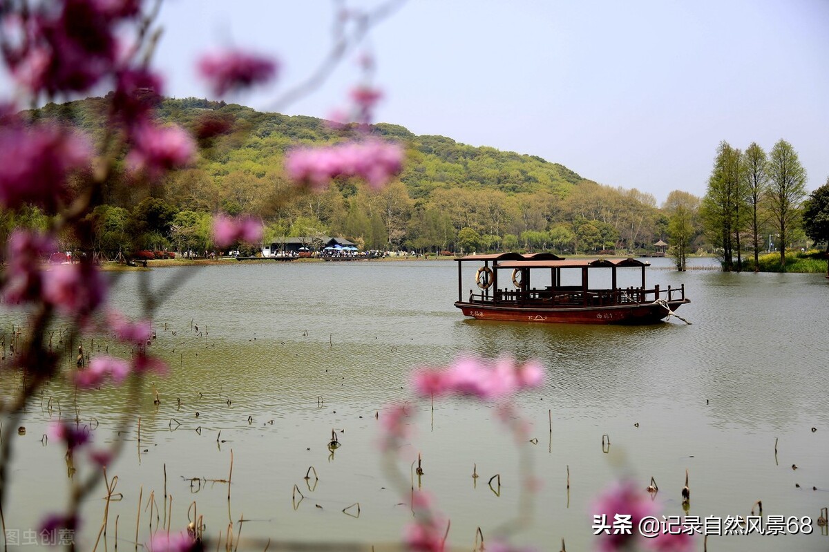 十七个赏樱花的好去处,适合看樱花的景点