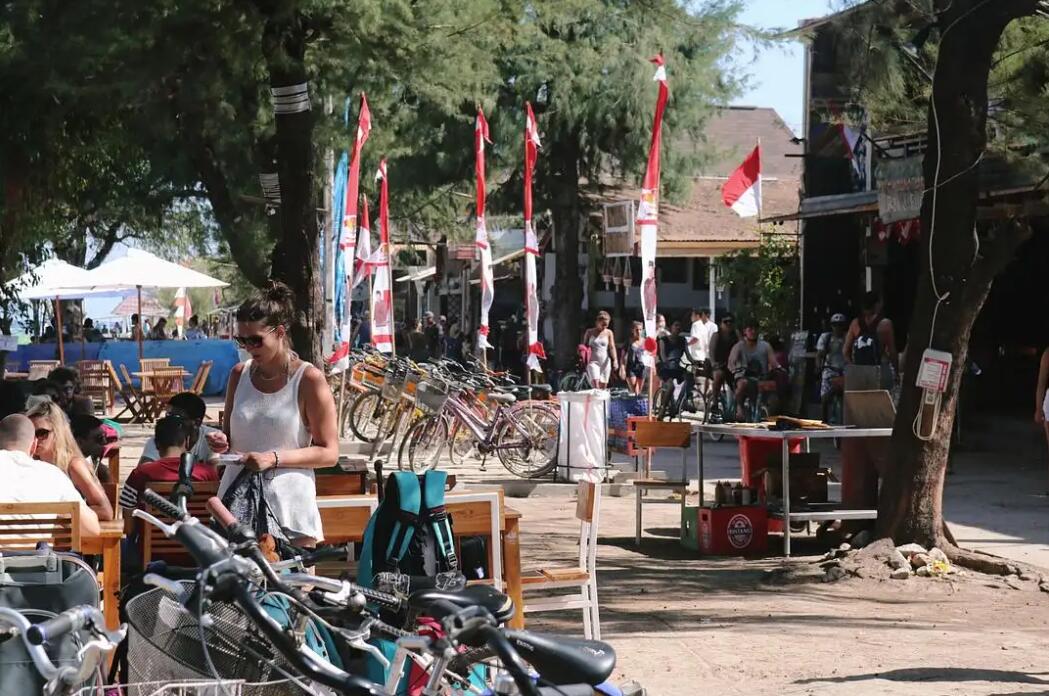 印度尼西亚是世界上第几大国,印度尼西亚是大国吗