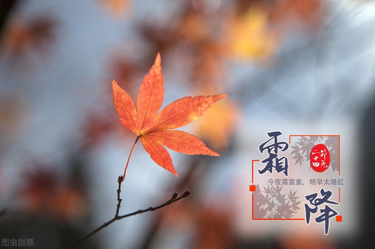 霜降经典宋词,霜降最好的诗句