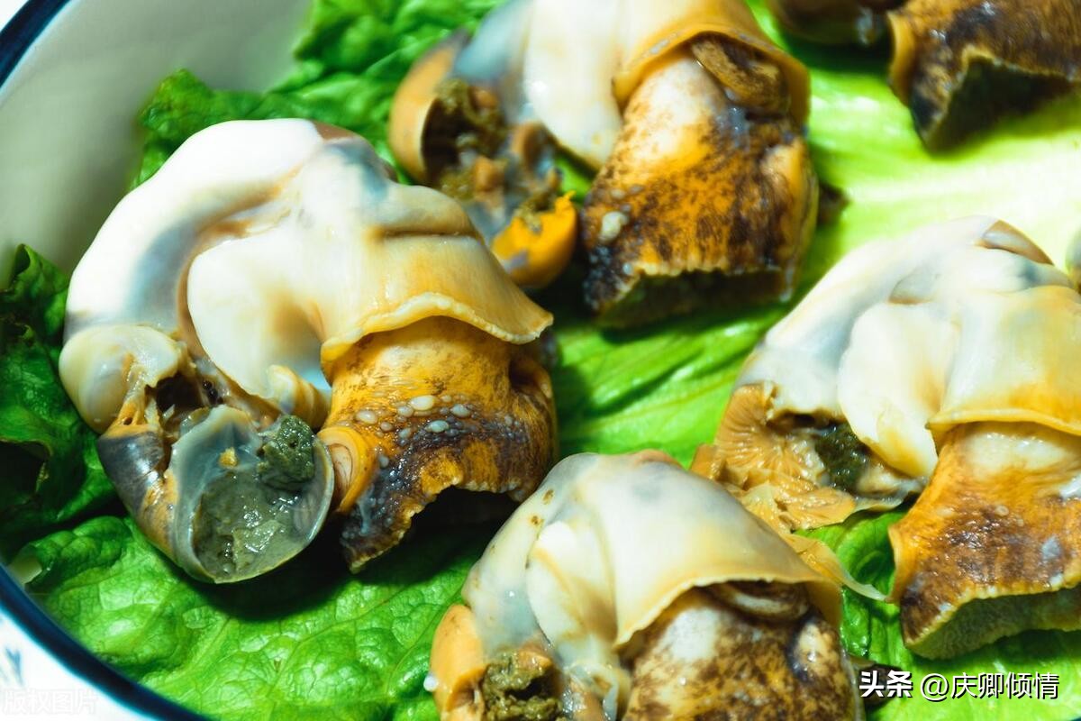 长春到山东旅游的最佳路线,广州到山东自驾旅游最佳路线