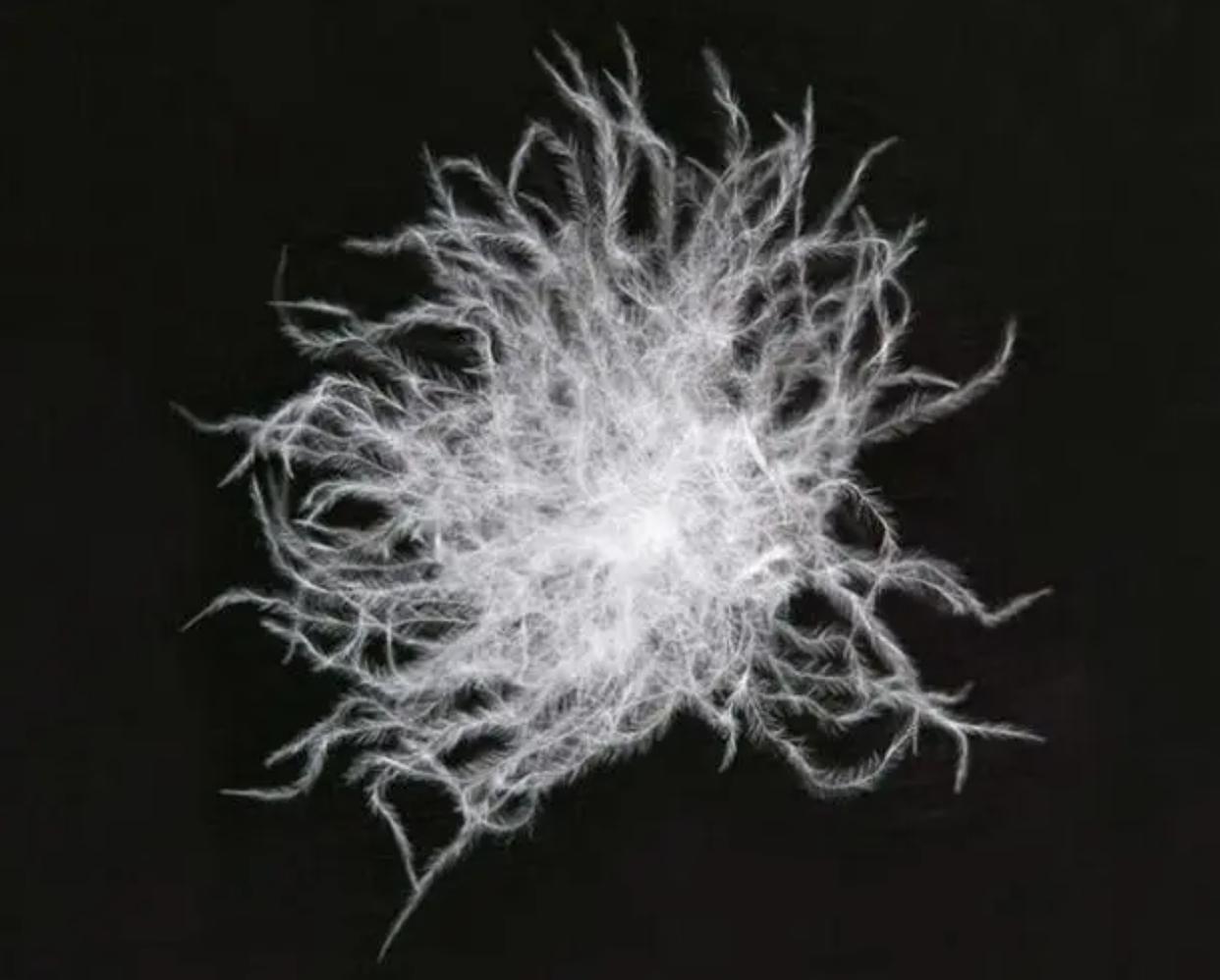 澶╃煶楣呴摖鐢查暱娆剧窘缁掓湇娴嬭瘎,璇勬祴澶╃煶楣呴摖鐢茬窘缁掓湇